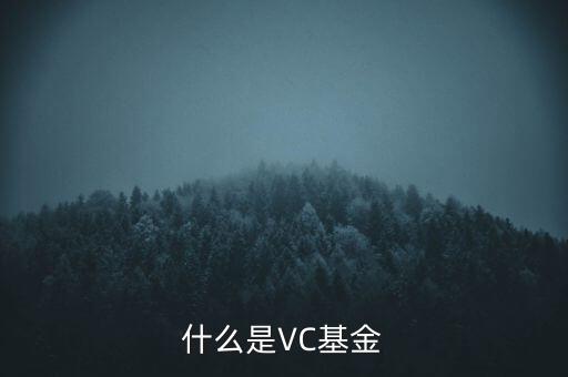 vc基金是什么，什么叫VC基金