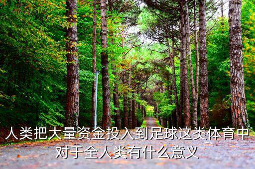 人類(lèi)把大量資金投入到足球這類(lèi)體育中對(duì)于全人類(lèi)有什么意義