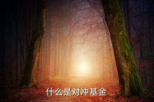 什么是對(duì)沖基金