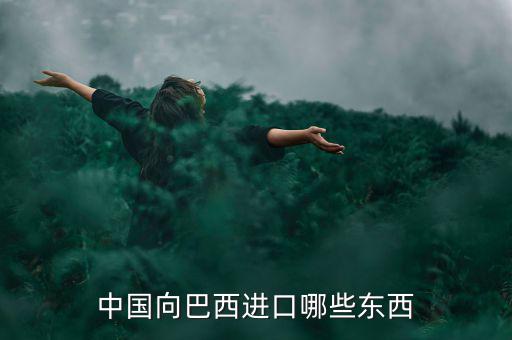 美國(guó)從巴西進(jìn)口什么，中國(guó)向巴西進(jìn)口哪些東西