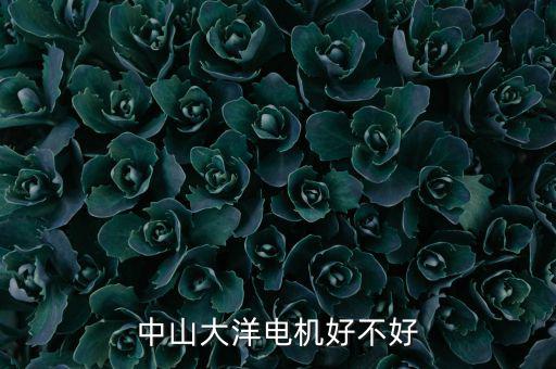 中山大洋電機屬于什么行業(yè)，中山大洋電機好不好