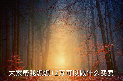 12萬投資什么項目，投資十二萬元能做什么呢