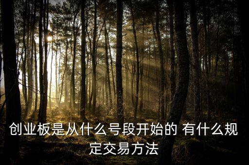 創(chuàng)業(yè)板什么開頭，創(chuàng)業(yè)板代碼什么數(shù)字開頭
