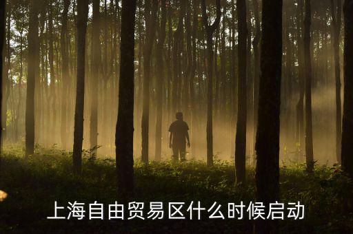 上海自貿(mào)區(qū)什么時(shí)候開(kāi)放，上海自由貿(mào)易區(qū)什么時(shí)候啟動(dòng)