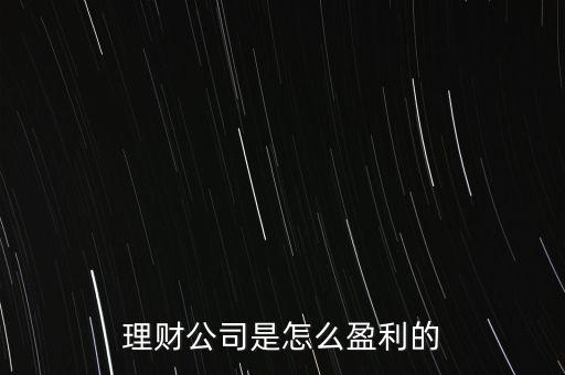 投資公司靠什么賺錢，投資理財(cái)公司靠什么賺錢