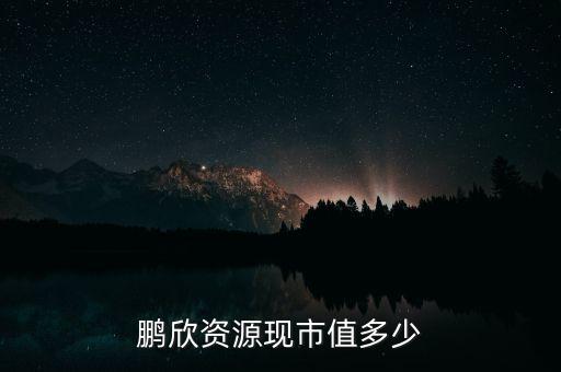 鵬欣資源是什么公司，鵬欣資源現(xiàn)市值多少