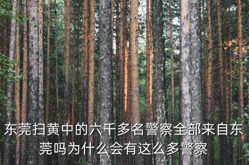 東莞掃黃中的六千多名警察全部來(lái)自東莞嗎為什么會(huì)有這么多警察