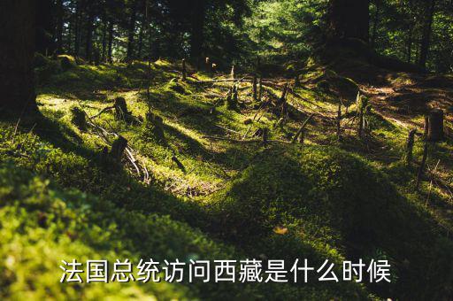 默克爾什么時(shí)間訪(fǎng)華，法國(guó)總統(tǒng)訪(fǎng)問(wèn)西藏是什么時(shí)候