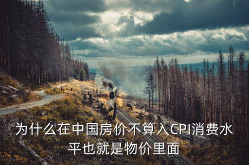 為什么在中國房?jī)r(jià)不算入CPI消費(fèi)水平也就是物價(jià)里面