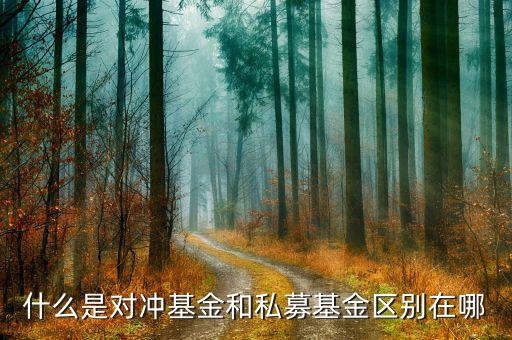 對沖基金是什么，對沖基金操作手法是什么有哪些原理