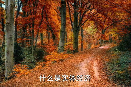 中國實體經(jīng)濟指什么，什么是實體經(jīng)濟