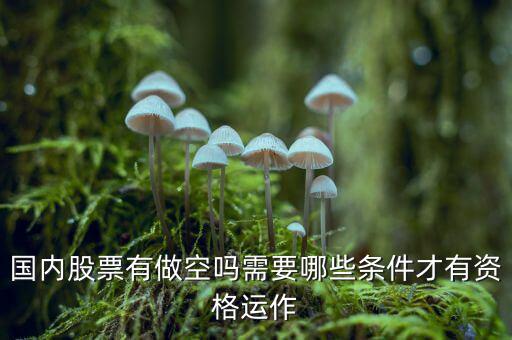 什么股票才可以做空，同花順里面有沒有可以做空的股票
