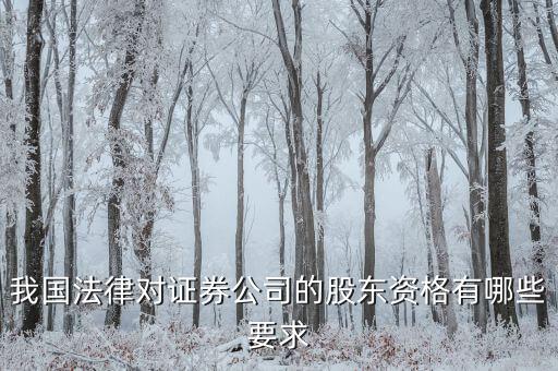 金融公司應(yīng)引入什么樣的股東，我國(guó)法律對(duì)證券公司的股東資格有哪些要求