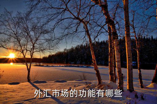 外匯有什么用，外匯市場(chǎng)的功能有哪些