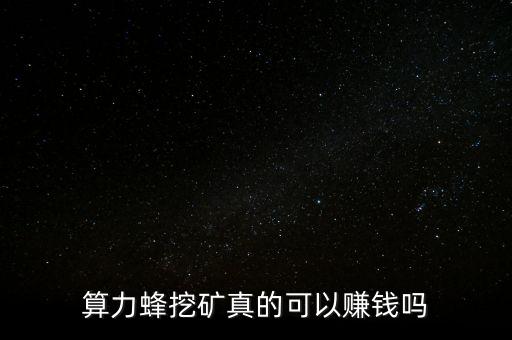 算力蜂挖礦真的可以賺錢(qián)嗎