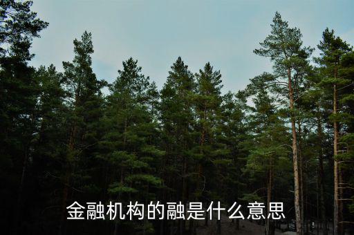 金融機(jī)構(gòu)的融是什么意思，融資中的融是什么意思