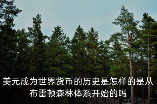 美元成為世界貨幣的歷史是怎樣的是從布雷頓森林體系開(kāi)始的嗎