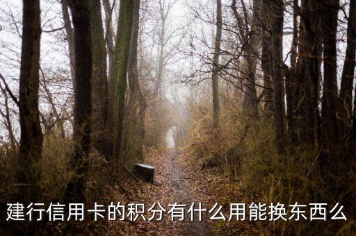建行信用卡積分能兌換什么，請(qǐng)問下建行信用卡1萬(wàn)多積分可以換什么