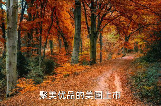 聚美優(yōu)品為什么要上市，根據(jù)聚美優(yōu)品案例談?wù)勈裁词莍po
