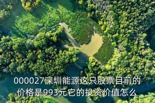 000027深圳能源這只股票目前的價格是993元它的投資價值怎么