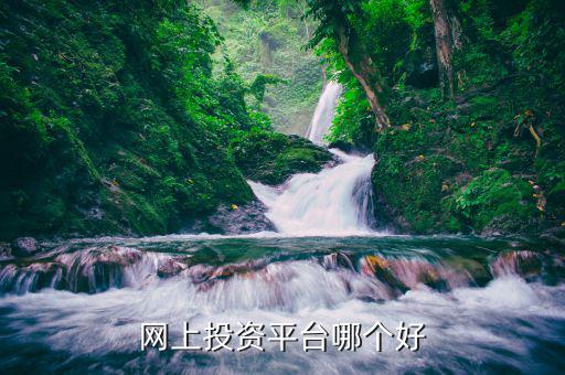 什么網(wǎng)絡(luò)投資好，網(wǎng)上投資平臺(tái)哪個(gè)好