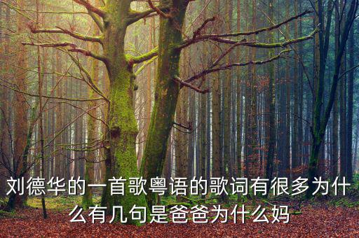 法為什么對(duì)is空襲，劉德華的一首歌粵語的歌詞有很多為什么有幾句是爸爸為什么媽