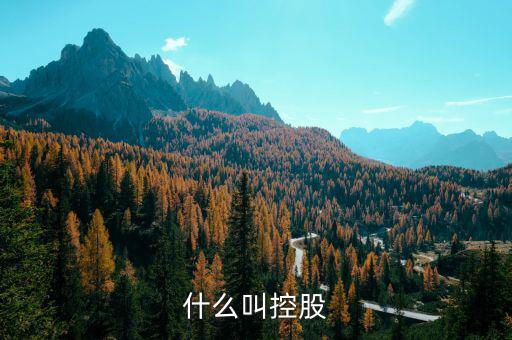 什么是控股關(guān)系，什么叫控股
