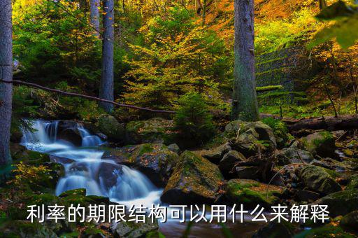 利率的期限結(jié)構(gòu)可以用什么來解釋，簡述利率的期限結(jié)構(gòu)