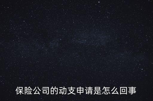 什么是動支申請，怎么樣支申請
