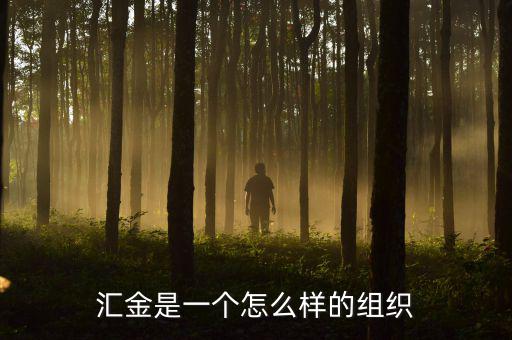中央?yún)R金干什么的，匯金是一個(gè)怎么樣的組織