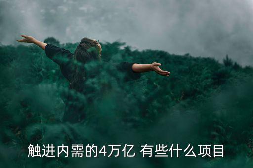 觸進內需的4萬億 有些什么項目