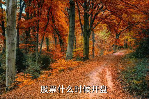 股票什么時(shí)候開(kāi)盤(pán)