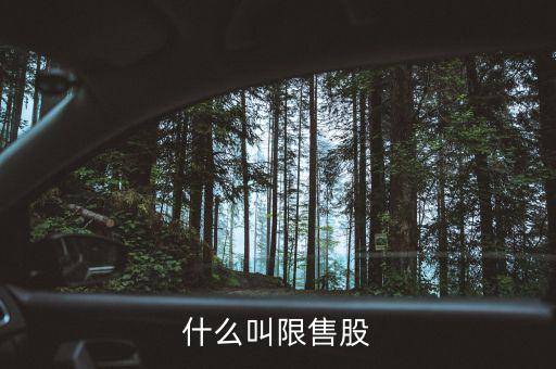 什么是上市公司限售股，什么叫限售股份
