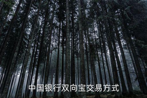 中國銀行雙向?qū)毷鞘裁?，中國銀行雙向?qū)殬I(yè)務(wù)詳細(xì)介紹