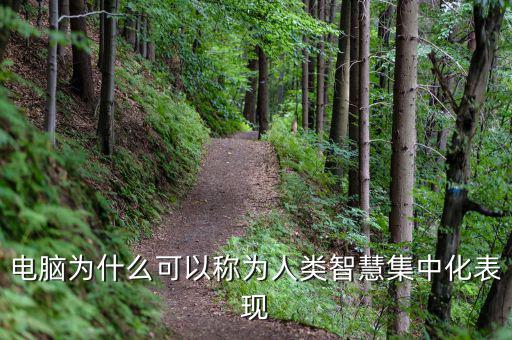電腦為什么能夠做人工智能，電腦為什么可以稱為人類智慧集中化表現(xiàn)