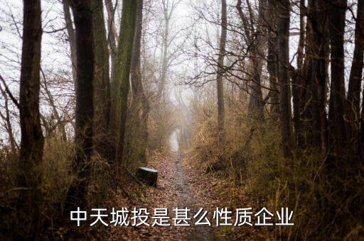 中天城投是什么概念，中天城投在這么些年的發(fā)展中涉及了哪些行業(yè)