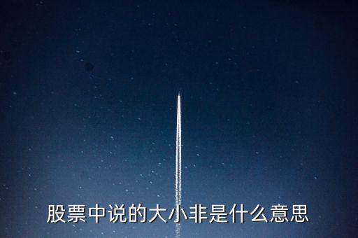 股市大小非是什么意思，股市中的大小非是指什么