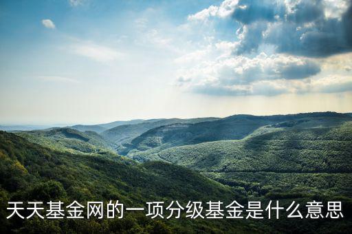 天天基金網(wǎng)的一項(xiàng)分級(jí)基金是什么意思