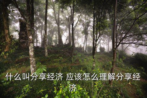 什么叫分享經(jīng)濟(jì) 應(yīng)該怎么理解分享經(jīng)濟(jì)