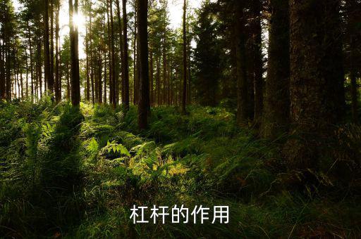 杠桿有什么用，杠桿的作用