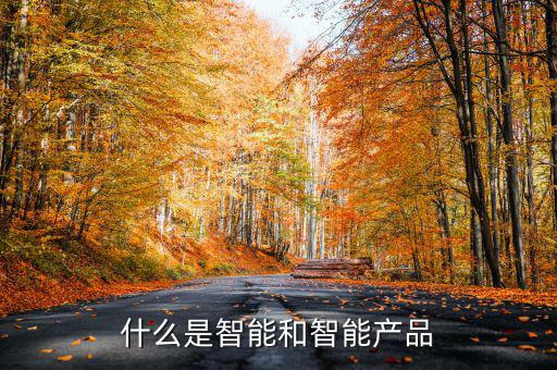 什么是智能產(chǎn)品，智能產(chǎn)品數(shù)碼產(chǎn)品電子產(chǎn)品它們有什么區(qū)別