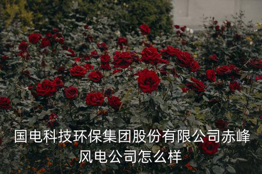 國電科環(huán)怎么樣,電力環(huán)保領域享有較高聲譽國電科環(huán)或上市