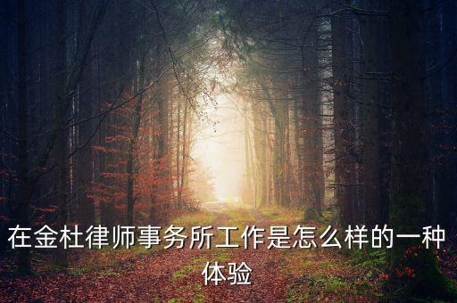 白彥春為什么離開金杜，在金杜律師事務所工作是怎么樣的一種體驗