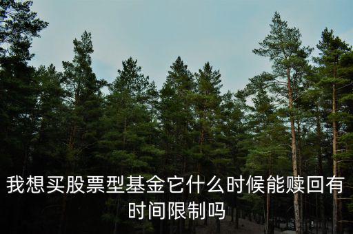 基金什么時候不能轉換，我想買股票型基金它什么時候能贖回有時間限制嗎