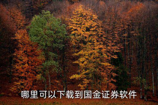 國金證券用的什么軟件，國金證券手機怎樣下載