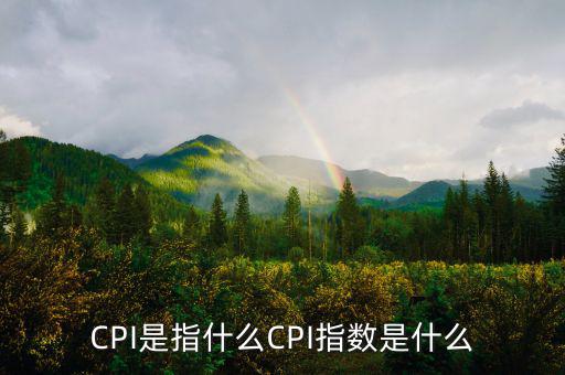 梅爾瓦指數(shù)是什么，MSCI 指數(shù)是什么