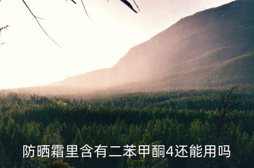 什么里面有甲酮，什么是甲酮是羰基兩邊連兩個甲基嗎