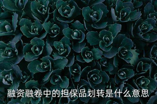 什么是劃轉(zhuǎn)，劃撥轉(zhuǎn)賬是什么意思