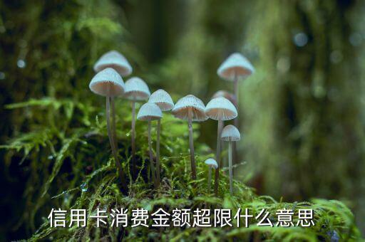 信用卡超限什么意思，信用卡消費金額超限什么意思