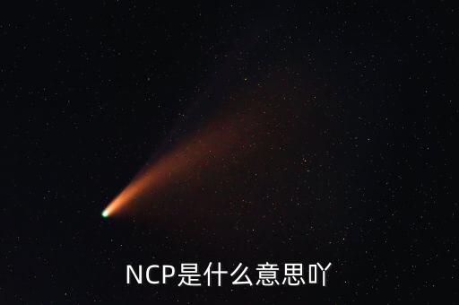 可比企業(yè)ncp是什么簡(jiǎn)稱，NCP是什么意思吖